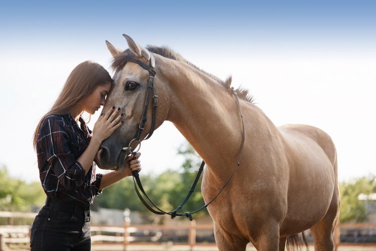 Why we use equine therapy at our rehab in Spain?