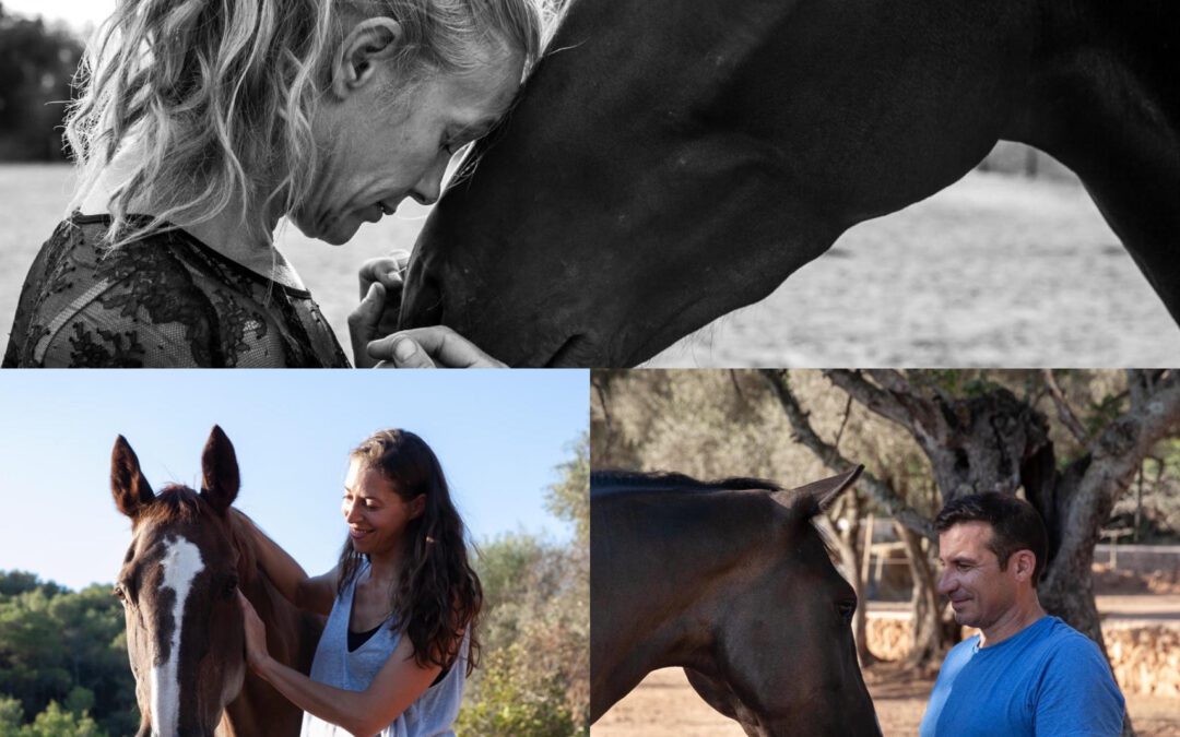 Why we use equine therapy at our rehab in Spain?